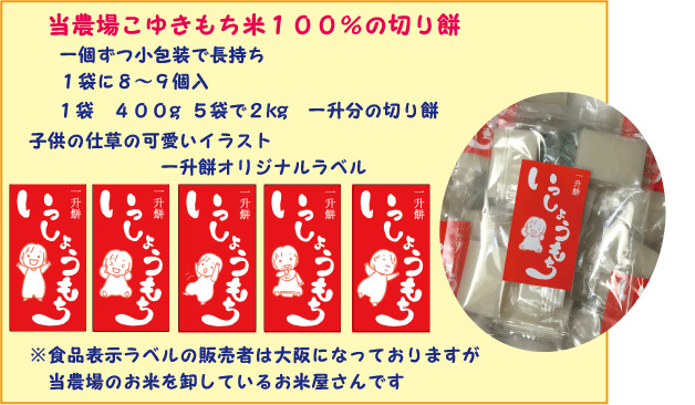 346 ベビーリュック付き 一歳 一升餅 背負い餅 一生餅 １歳の誕生日のお祝い プレゼントに 小分け小包装切り餅 一升餅セット 黒川まるいし農場